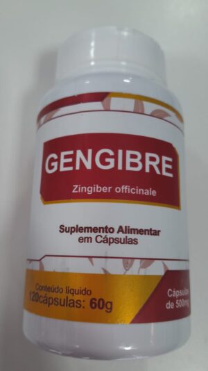 GENGIBRE 500 MG 120 CPS